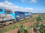RUMO 9877